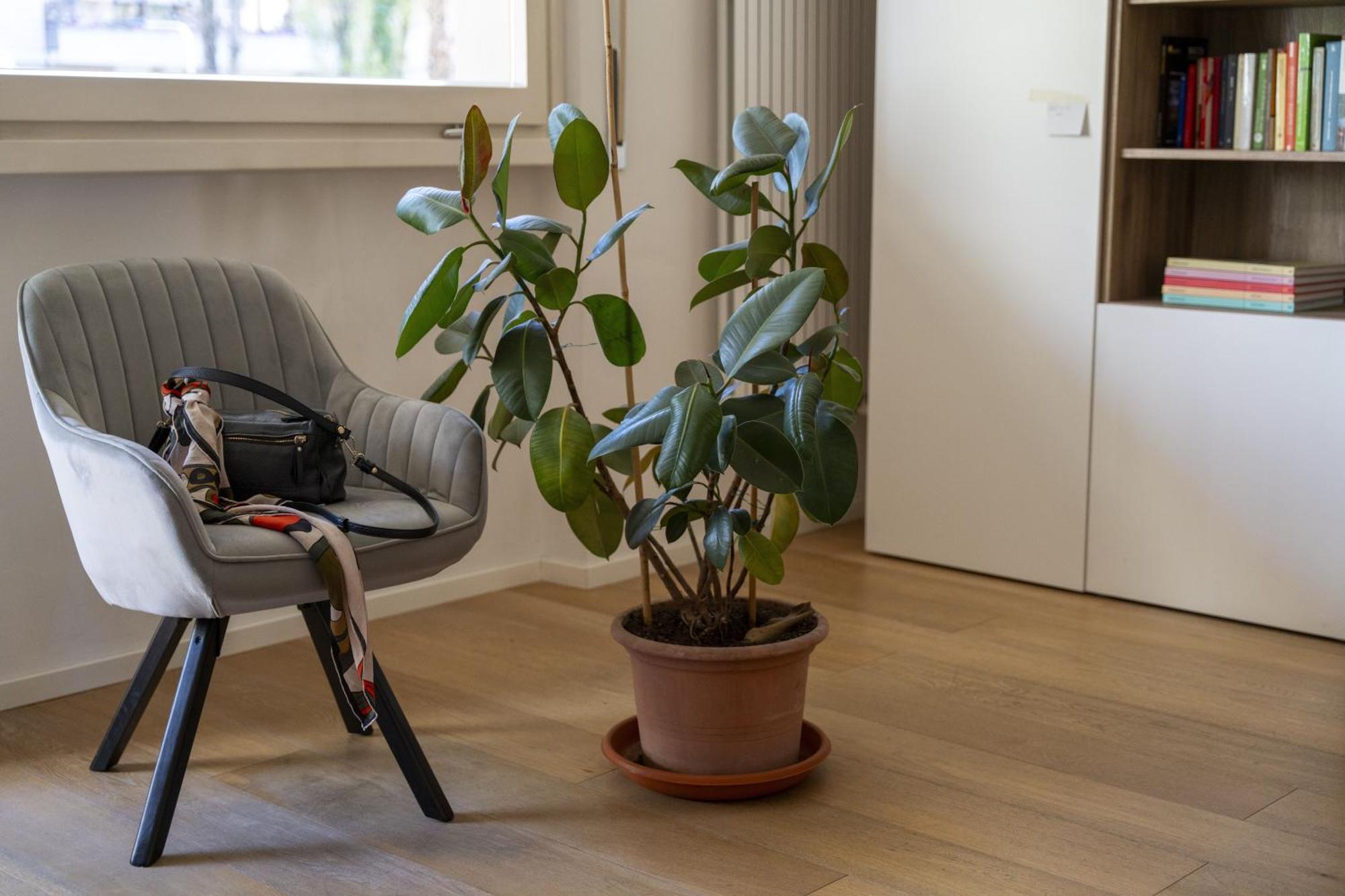 Apartament Danti Chic Florencja Zewnętrze zdjęcie